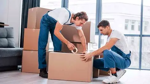 PROFESSIONAL MOVERS PACKERS
