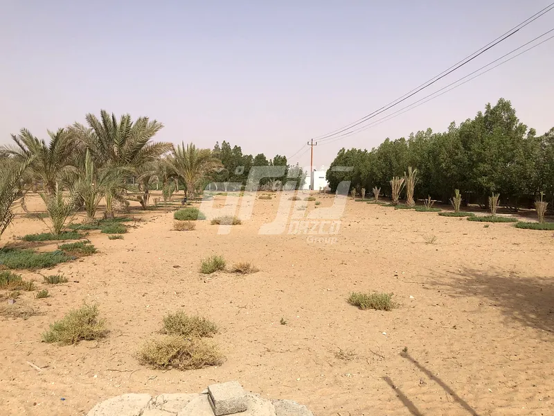 Mixeduse lands for rent in Al Ain Mixeduse lands renatls