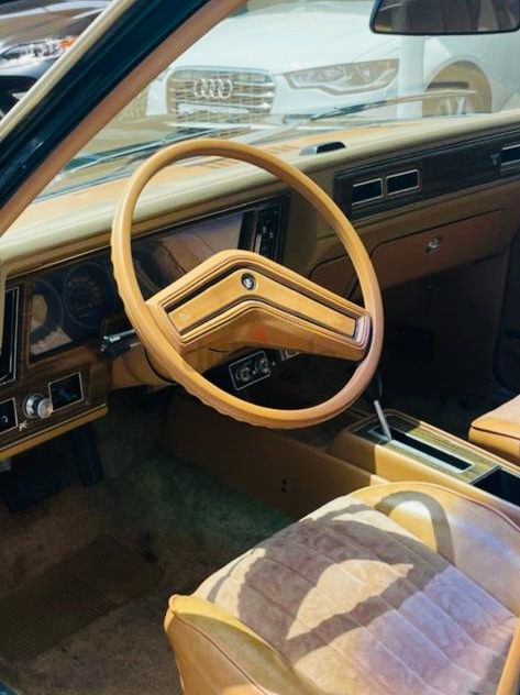 1979 buick skylark interior