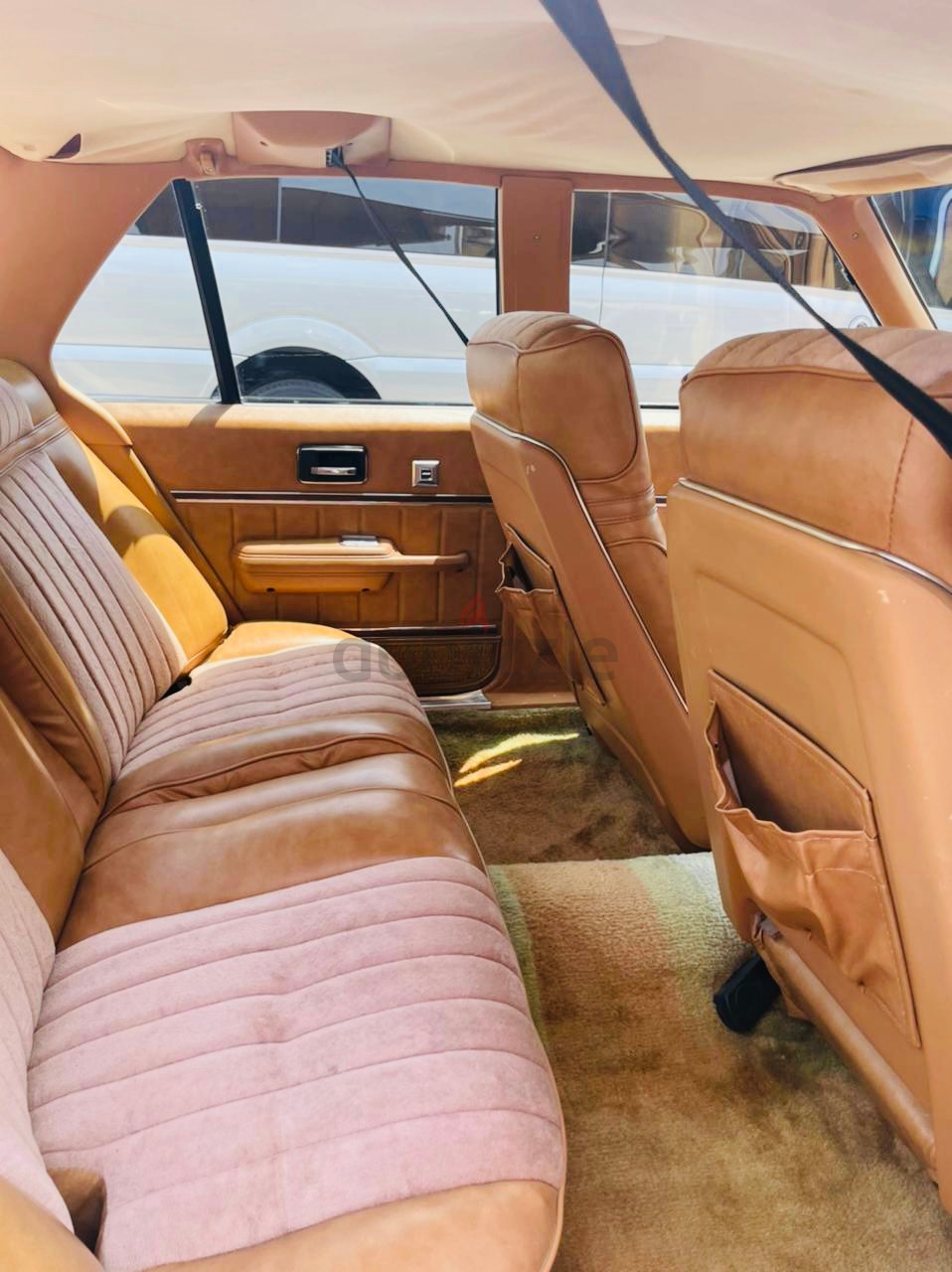 1979 buick skylark interior