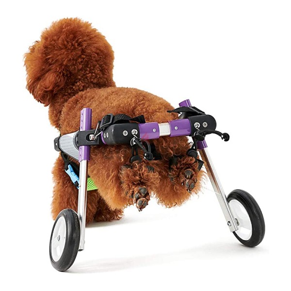 how much is a dog wheelchair