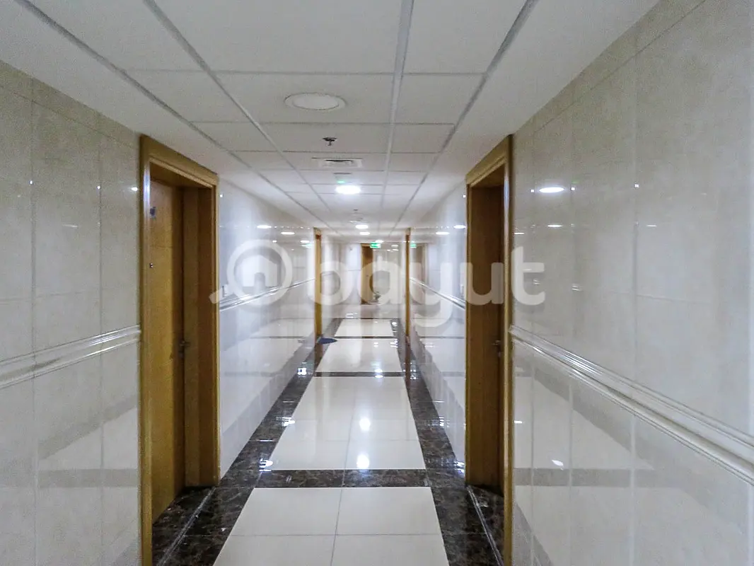 Peaceful Place Amazing Apartment No Commission