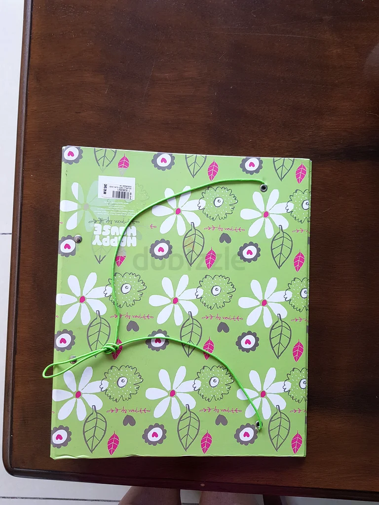 Metallic Box File63224333413251112