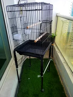 2nd Hand Bird Cages For Sale