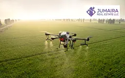 Agricultural Farm Plots in Oasis location