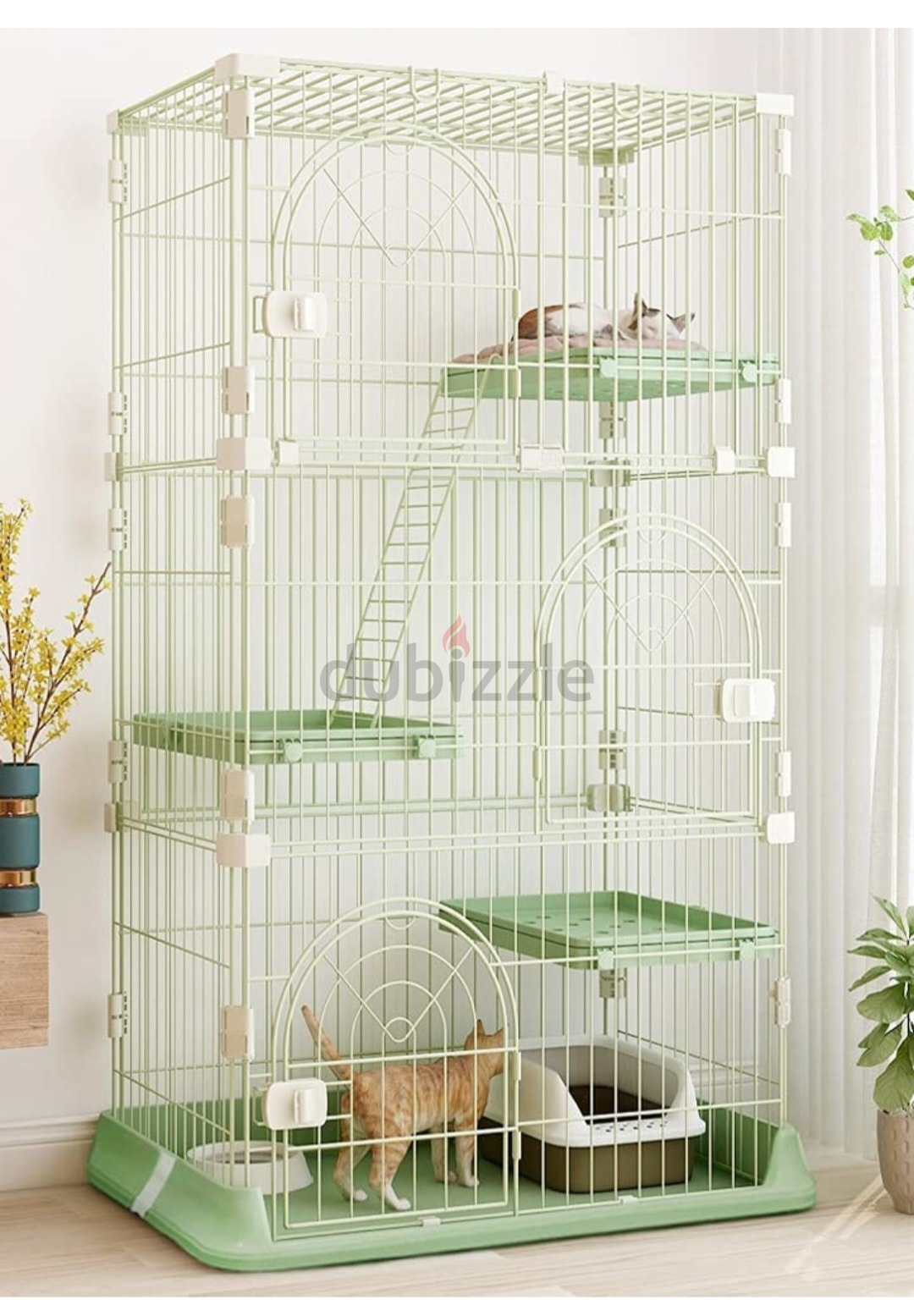 cat cage for rent