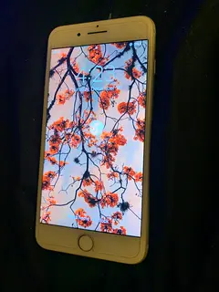 Iphone 7 Plus Dubizzle Iphone 7 Plus Dubizzle