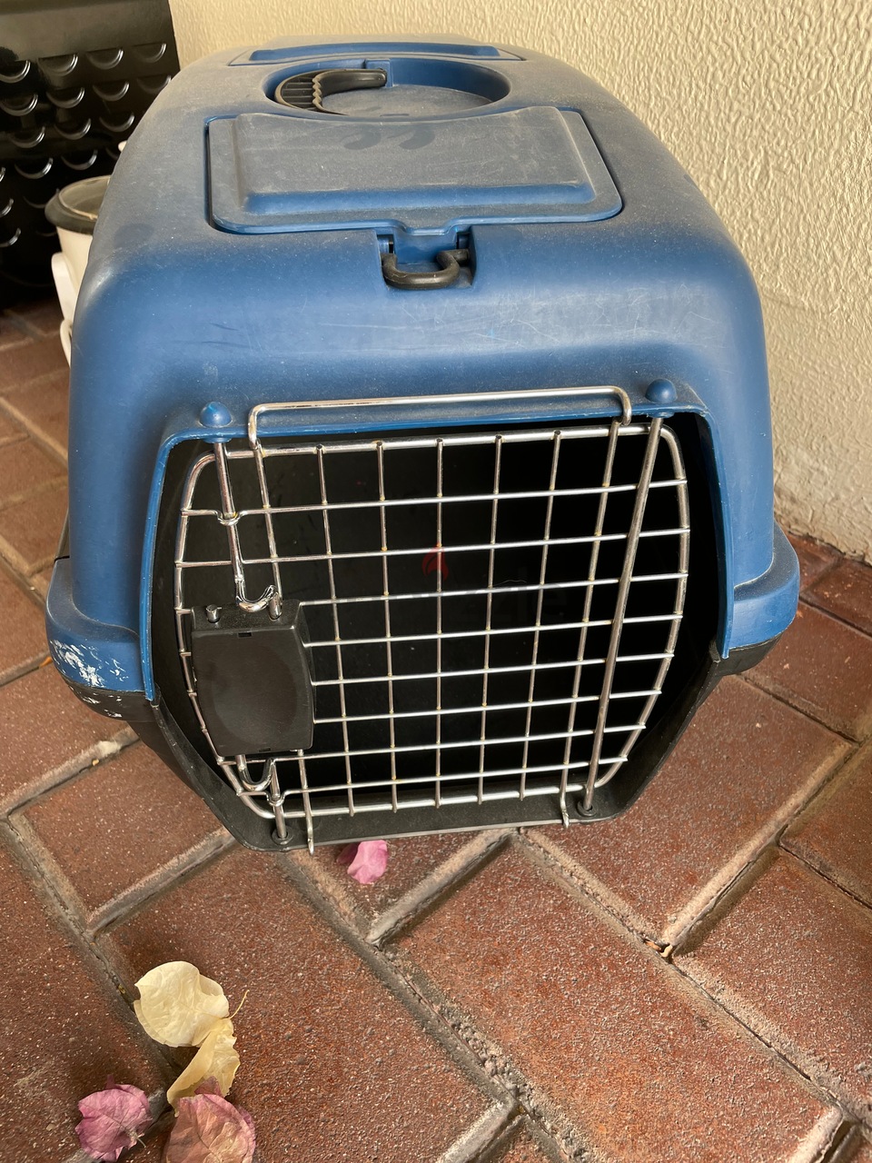 olx cat cage