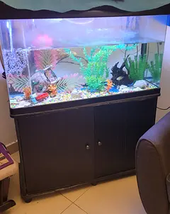 used aquarium fish tanks for sale