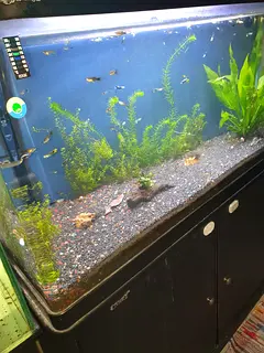 camry aquarium filter