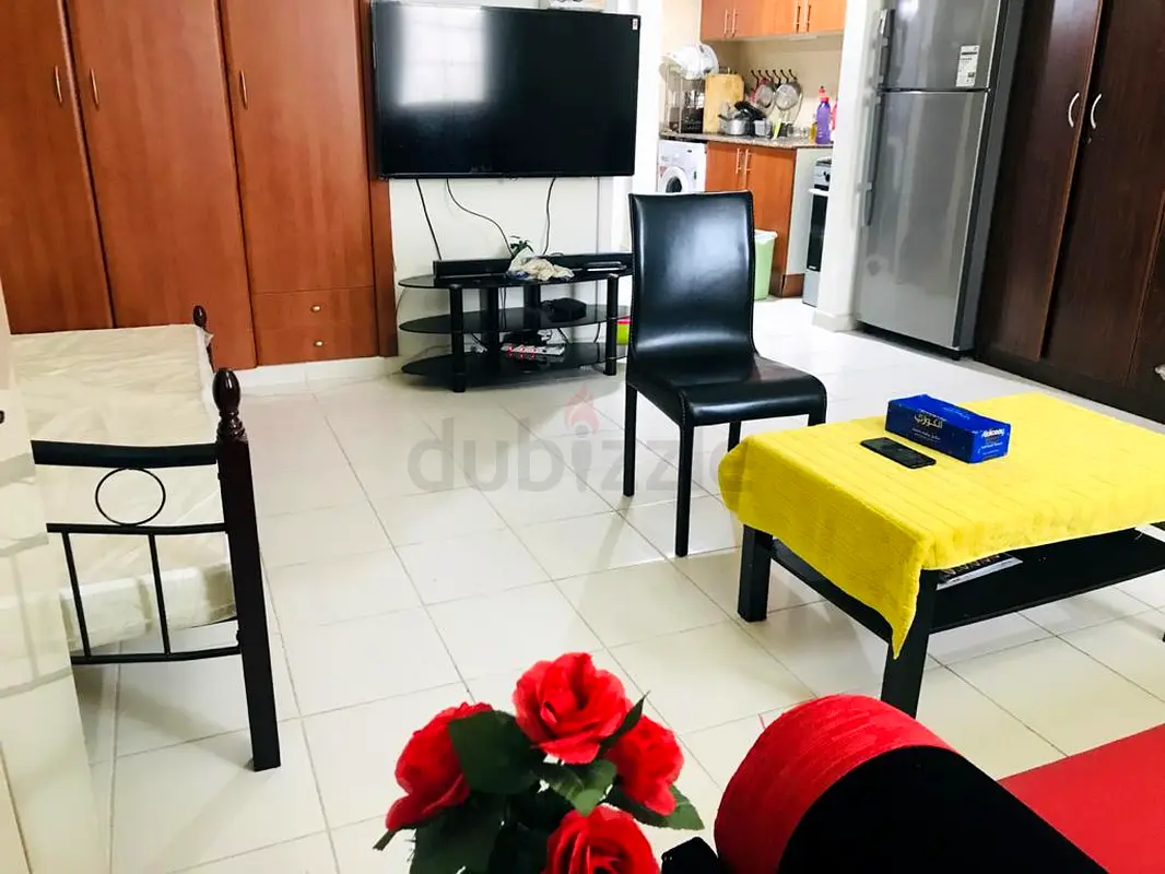 Room Apartments for rent in France Cluster Shared Flats rental