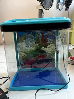 pets at home fish pump