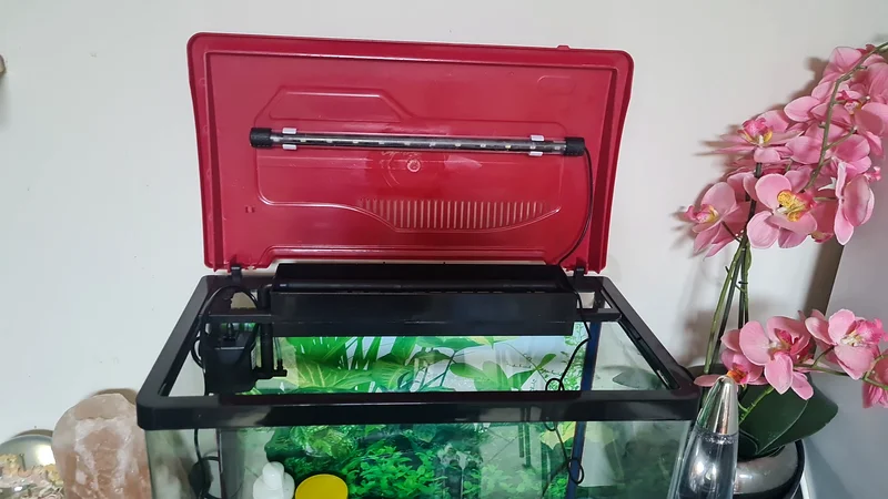 Buy & sell any Aquariums & Fish/Reptile Supplies online - 283 used