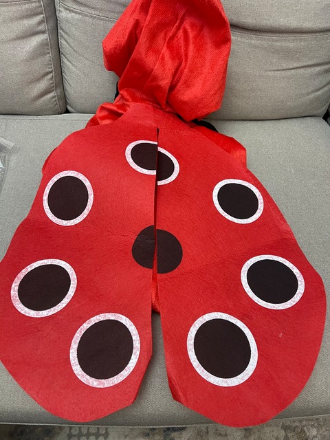 Lady Bug costume for baby girls