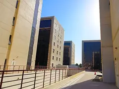 Brand New Studio | Chiller Free |dewa Free |