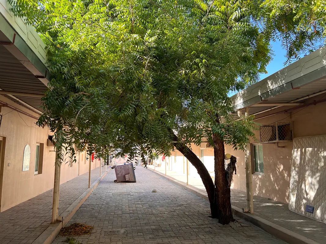 LABOUR ACCOMMODATION AVAILABLE FOR RENT IN SONAPUR | BIG SPACE | NEAT AND CLEAN