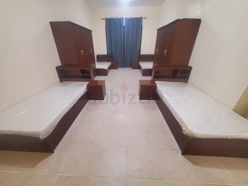 Rooms for rent in Barsha Heights Shared Rooms rental