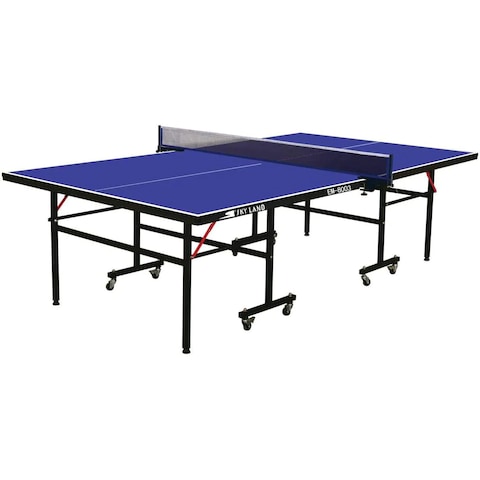 Ping pong table tannis