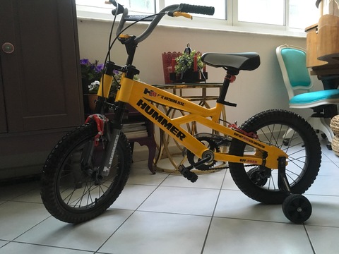 Hummer discount h16 bike