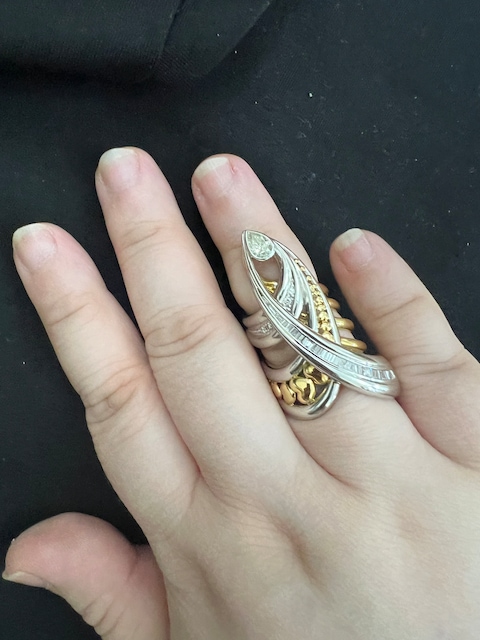 Power ring in 18k gold and platinum