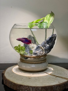 1pcs Glass Betta Fish Tank Bamboo Base Mini Fish Tank Decoration  Accessories Rotate Decoration Fish Bowl Aquarium Accessories Y200917