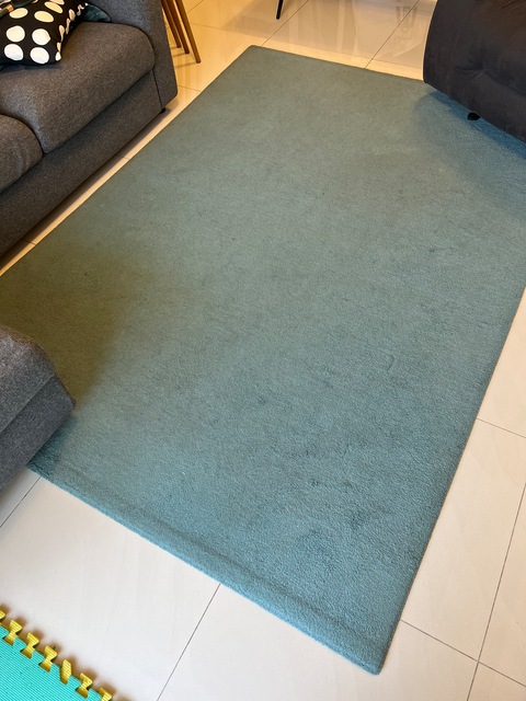 Ikea Carpet Rug - Aqua Blue 240x170cm Good Condition