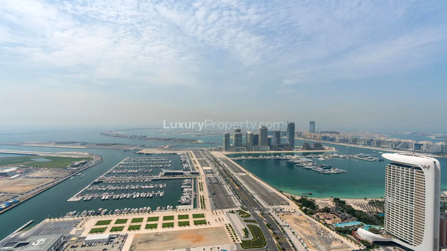 Upgraded I Vacant Now | Palm and Sea view