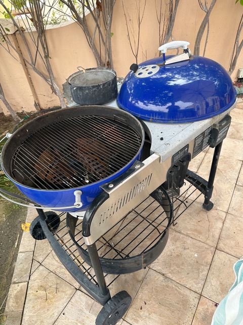 Weber Performer Charcoal Grill
