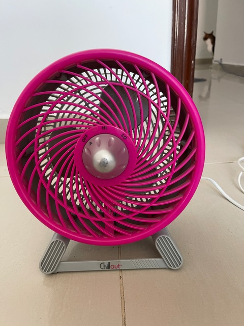 Small table fan for sale