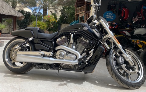 Mint low km  Vrod Muscle-full service history
