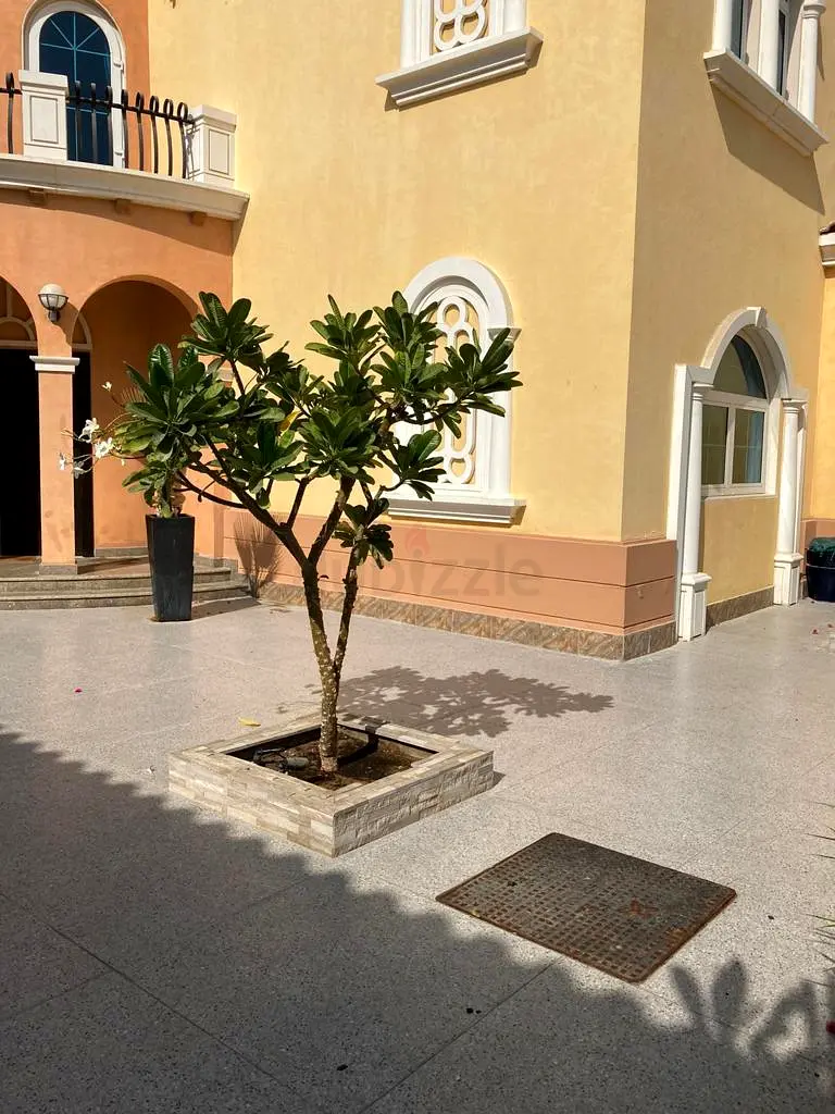 Villa/House for Sale LEGACY 5 BEDROOM DISTRICT 1 GREAT QUIET