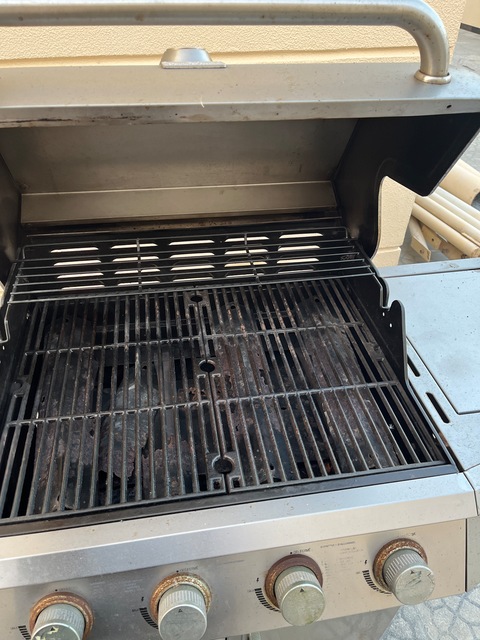 Gas Barbecue and Grill