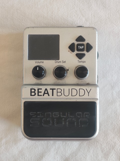 Beat Buddy with Footswitch and premium library