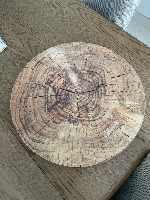 12 pieces wooden plate mat