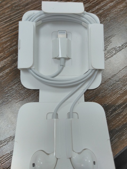 Apple Earphone Earpods With Lightning Connector