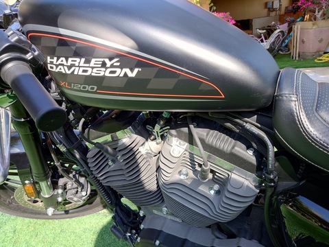 2020 Harley Davidson Sportster Roadster 1200XL