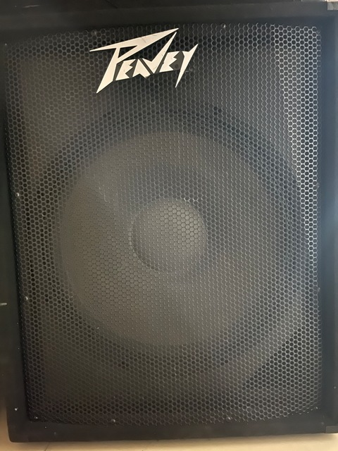 Peavy 118D sub woofer