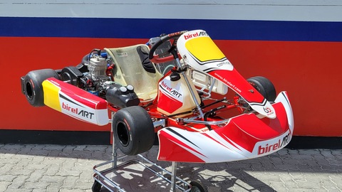 Birel ART Iame X30 125cc Race Go Kart (New engine)