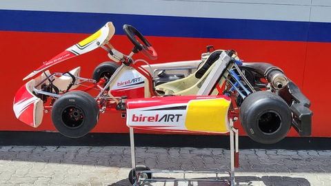 Birel ART Iame X30 125cc Race Go Kart (New engine)