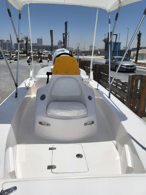 Day Boat with New Mercury 60 HP Engine