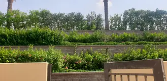 Hot Deal !! Morocco Cluster G Block Studio For Rent 20000 K