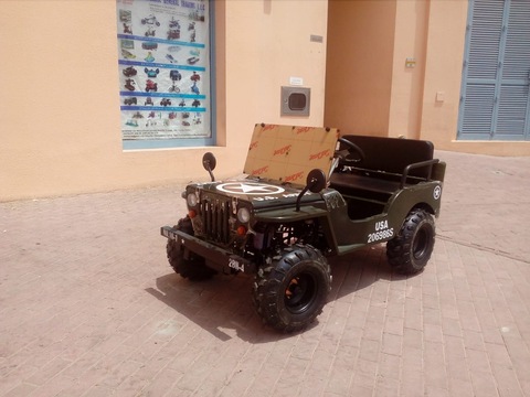150 cc Mini Jeep buggy off road with warranty 2 seater