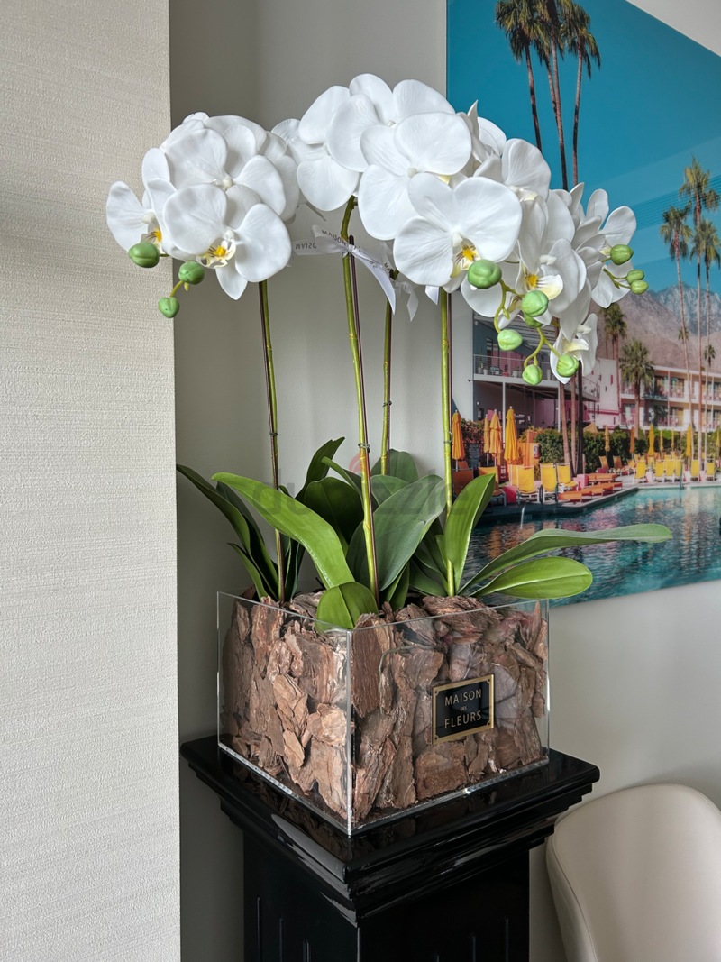 Orchids with podium-2