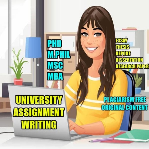 PHD Assignment | Thesis | Report | Essay | Data Analysis