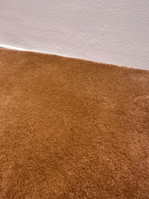 Mustard colour rug 3m x 2m