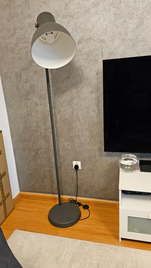 Dark Grey Floor Lamp (1 year old)
