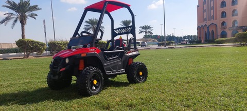 KIDS Electric 12 v Rhino utv buggy 2 seater with shade