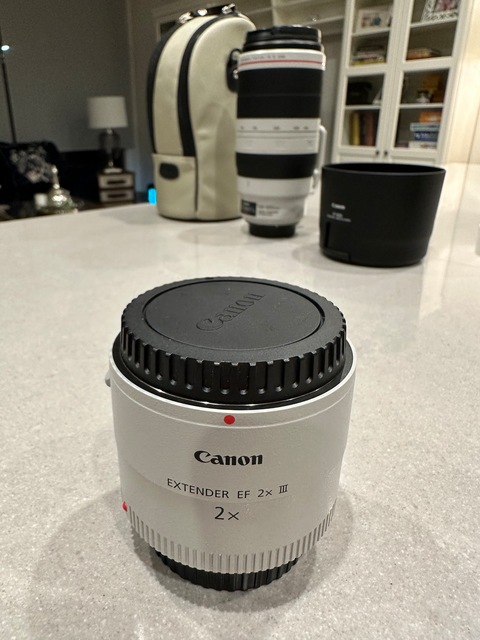 Canon EF 100-400mm f/4.5-5.6L IS II USM + Free Extender 2x