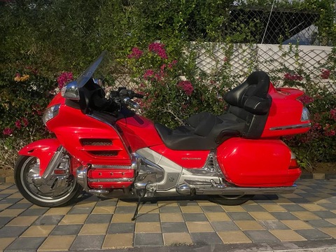 Neat and clean goldwing