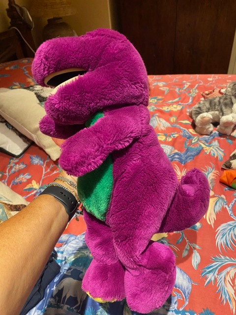 Barney stuffed toy.